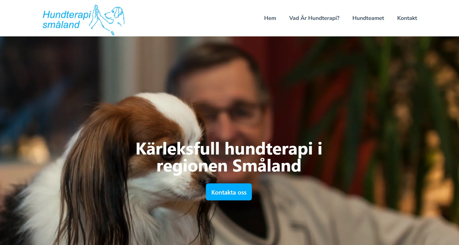 Hundterapi Småland case